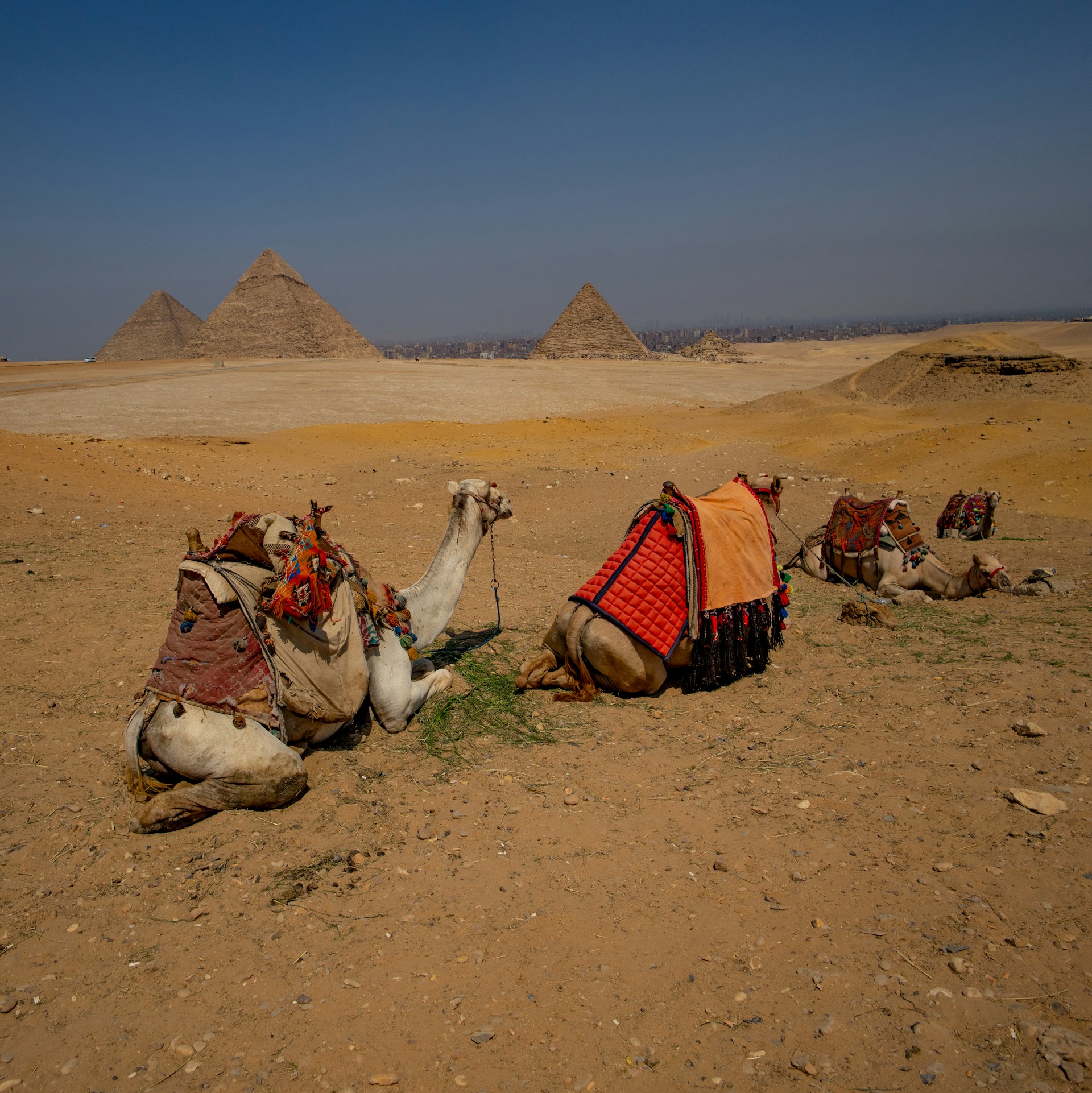 Morocco Express: A 5-Day of Adventure